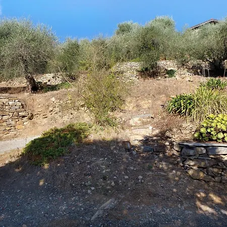 Apartamento Immerso Nel *