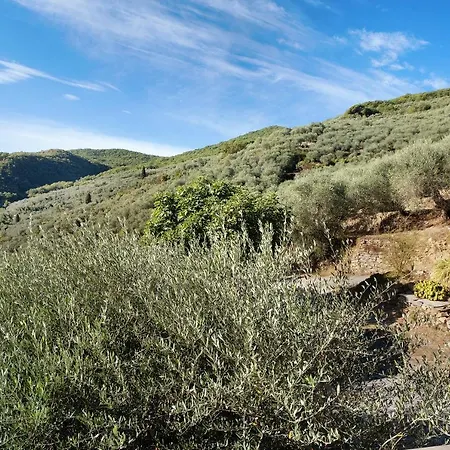 Apartamento Immerso Nel *