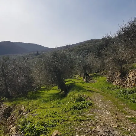 Immerso Nel Chiusavecchia