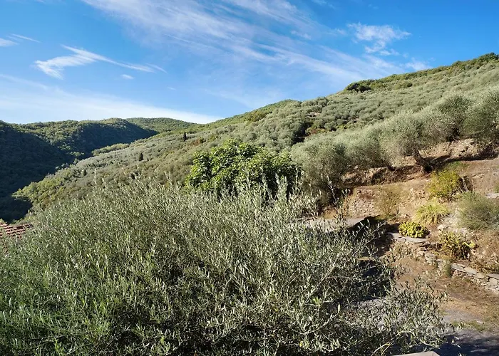 Appartement Immerso Nel *